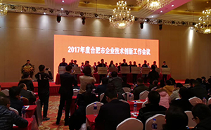 再獲殊榮——合肥大道模具榮獲“2017年度合肥市品牌示范企業(yè)”