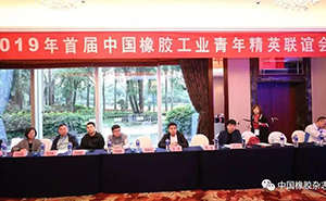 我司總經(jīng)理王金治參加中國(guó)橡膠工業(yè)青年精英聯(lián)誼